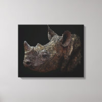 Zwarte Rhino