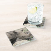 Zwarte rhino glazen onderzetter (Schuin)