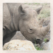 Zwarte rhino glazen onderzetter (Voorkant)