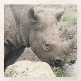 Zwarte rhino glazen onderzetter