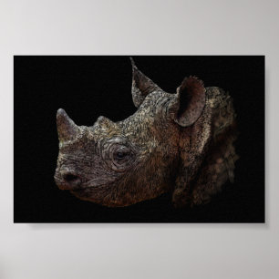 Zwarte Rhino Poster