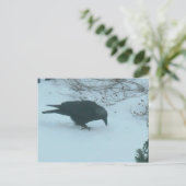 Zwarte rij in de winter briefkaart (Staand voorkant)