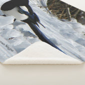 Zwarte Rocky Mountain Magpie sherpa deken (3/4)