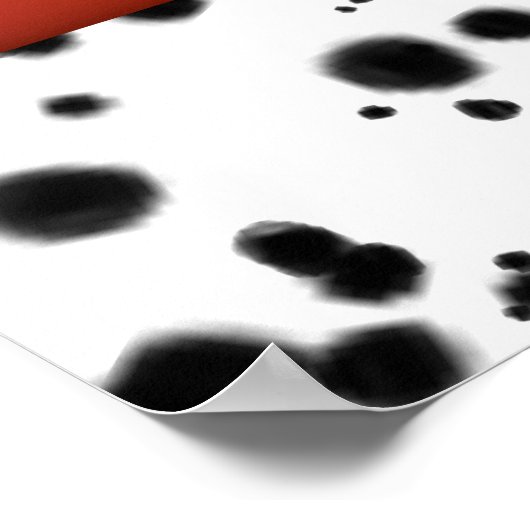Zwarte Rode Bow Dalmatische Spots Birthday Party Poster (Hoek)