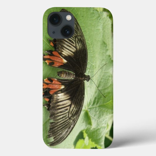 zwarte rode en gouden vlinder iPad mini-draagtas Case-Mate iPhone Case (Achterkant)