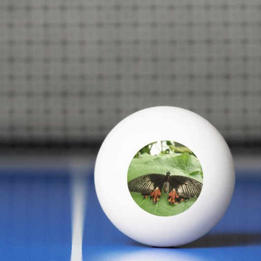  zwarte rode en goudvlinder Ping Ball Ball (Net)