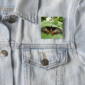 zwarte rode en goudvlinderButton Vierkante Button 5,1 Cm (In situ)
