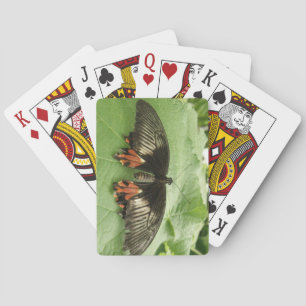  zwarte rode en goudvlinderspeelkaarten pokerkaarten