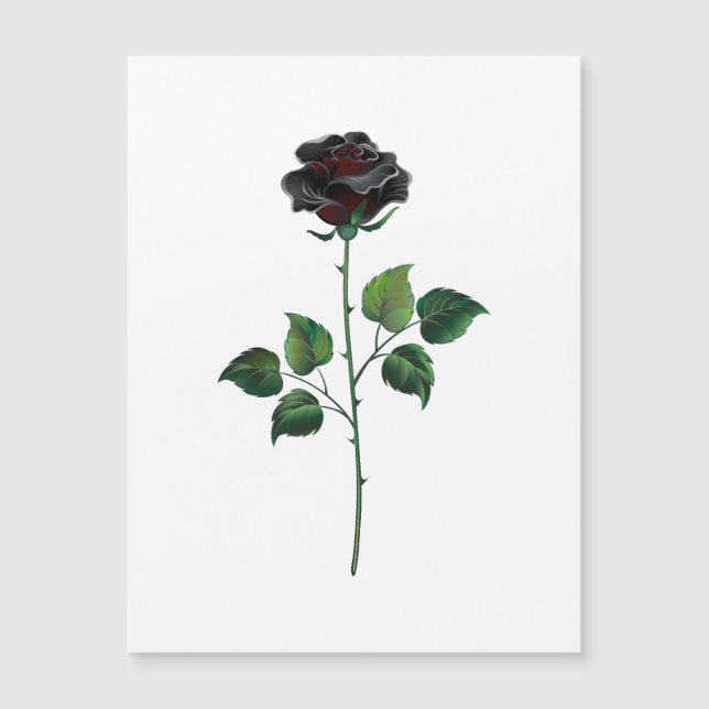 Zwarte roos bloem (Voorkant)