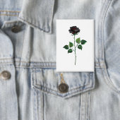 Zwarte roos bloem button (Insitu)