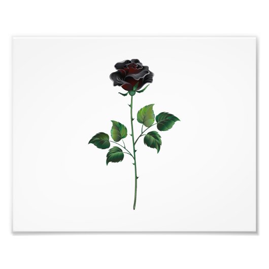 Zwarte roos bloem foto afdruk (Voorkant)