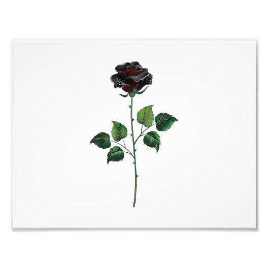 Zwarte roos bloem foto afdruk (Voorkant)