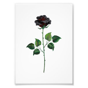 Zwarte roos bloem foto afdruk