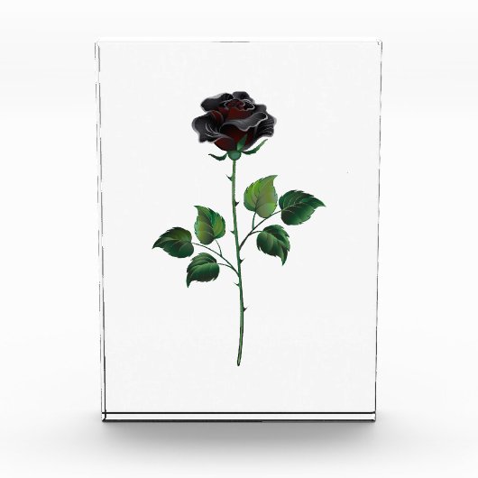 Zwarte roos bloem fotoblokken (Voorkant)