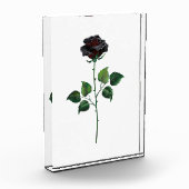 Zwarte roos bloem fotoblokken (Links)