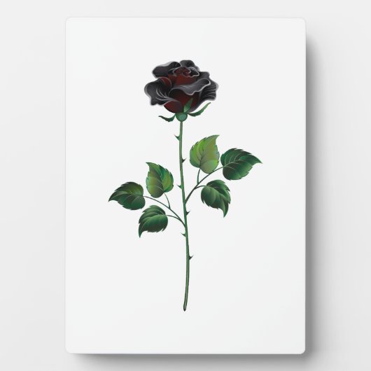 Zwarte roos bloem fotoplaat (voorkant)