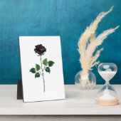 Zwarte roos bloem fotoplaat (Zijkant)