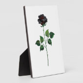 Zwarte roos bloem fotoplaat (Zijkant)