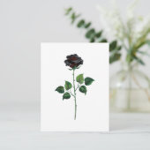 Zwarte roos bloem kaart (Staand voorkant)