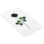 Zwarte roos bloem magneet (Rechterzijde)