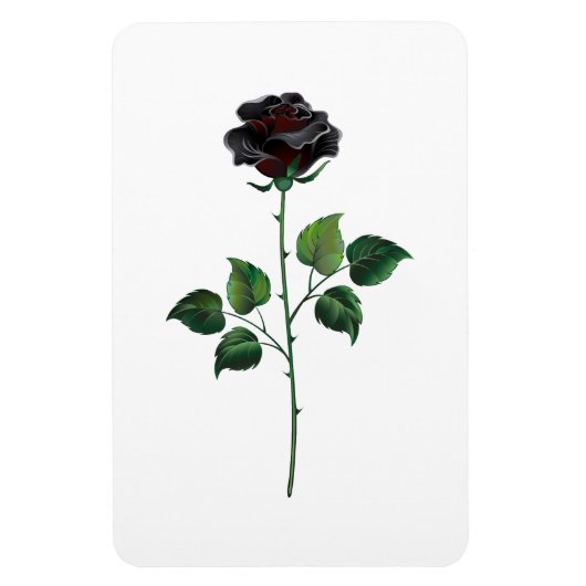 Zwarte roos bloem magneet (Verticaal)