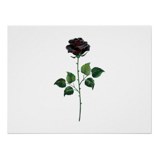 Zwarte roos bloem perfect poster (Voorkant)
