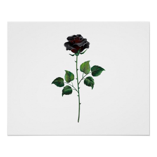 Zwarte roos bloem perfect poster (Voorkant)