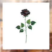 Zwarte roos bloem raamsticker (Vel 2)