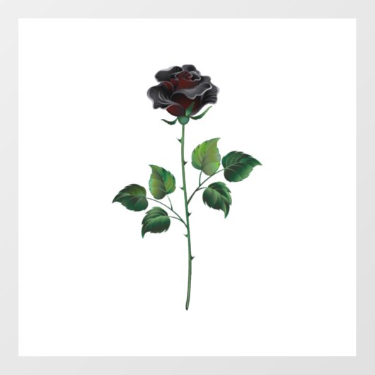 Zwarte roos bloem raamsticker (Vel)