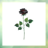 Zwarte roos bloem raamsticker (Vel 3)