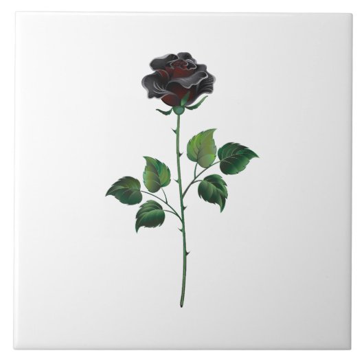 Zwarte roos bloem tegeltje (Voorkant)