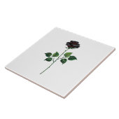 Zwarte roos bloem tegeltje (Zijkant)