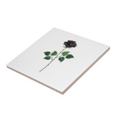Zwarte roos bloem tegeltje (Zijkant)