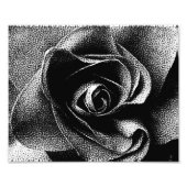 ZWARTE ROOS FOTO AFDRUK (Voorkant)