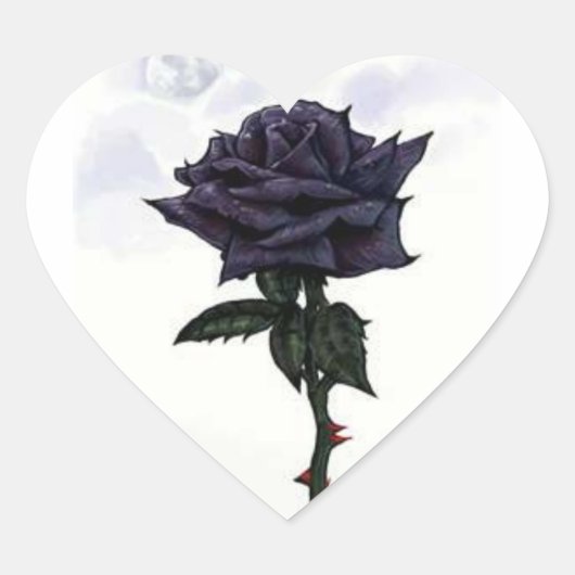 Zwarte Roos Stickers (Voorkant)