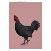 Zwarte rooster (Voorkant)