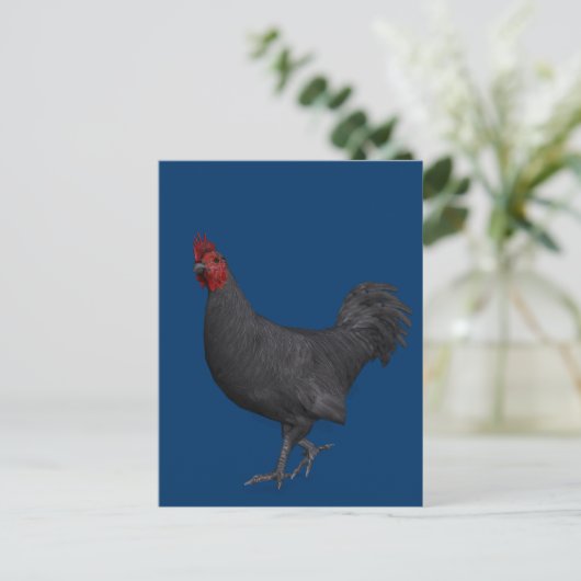 Zwarte rooster briefkaart (Staand voorkant)