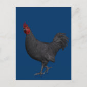 Zwarte rooster briefkaart (Voorkant)