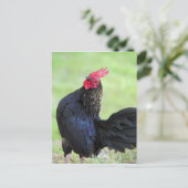 Zwarte rooster briefkaart (Staand voorkant)