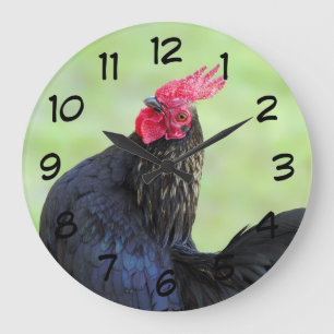 Zwarte rooster grote klok