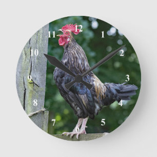 zwarte rooster-kweekfoto ronde klok
