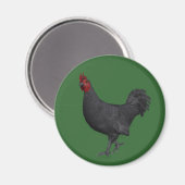 Zwarte rooster magneet (Voorkant / Achterkant)