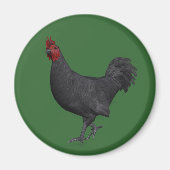 Zwarte rooster magneet (Voorkant)