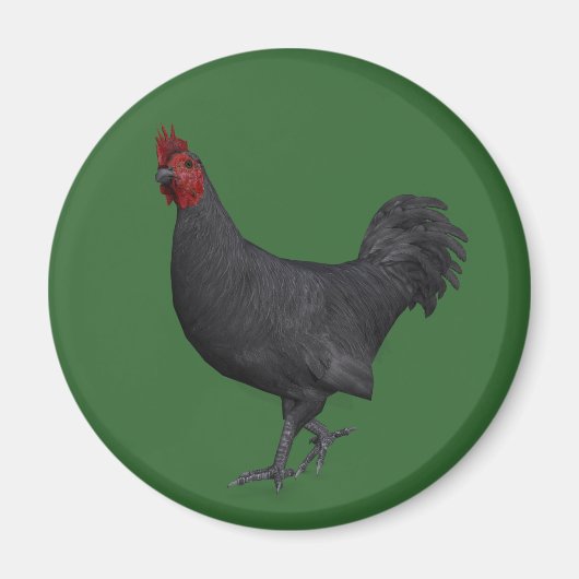 Zwarte rooster magneet (Voorkant)
