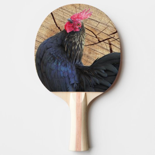 Zwarte rooster tafeltennisbatje (Voorkant)