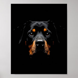 Zwarte Rottweiler Hond Rottie Gezicht Poster