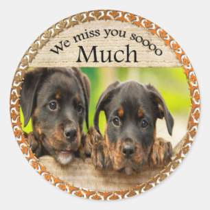 Zwarte Rottweiler schattige puppy honden met tries Ronde Sticker