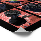 Zwarte rozen ravens en kraaikraakkraakbeen poster (Hoek)