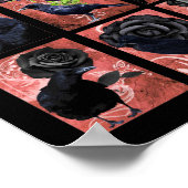 Zwarte Rozen, rozijnen en krokodische kunst Poster (Hoek)