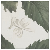 Zwarte rozen stof (Close Up)